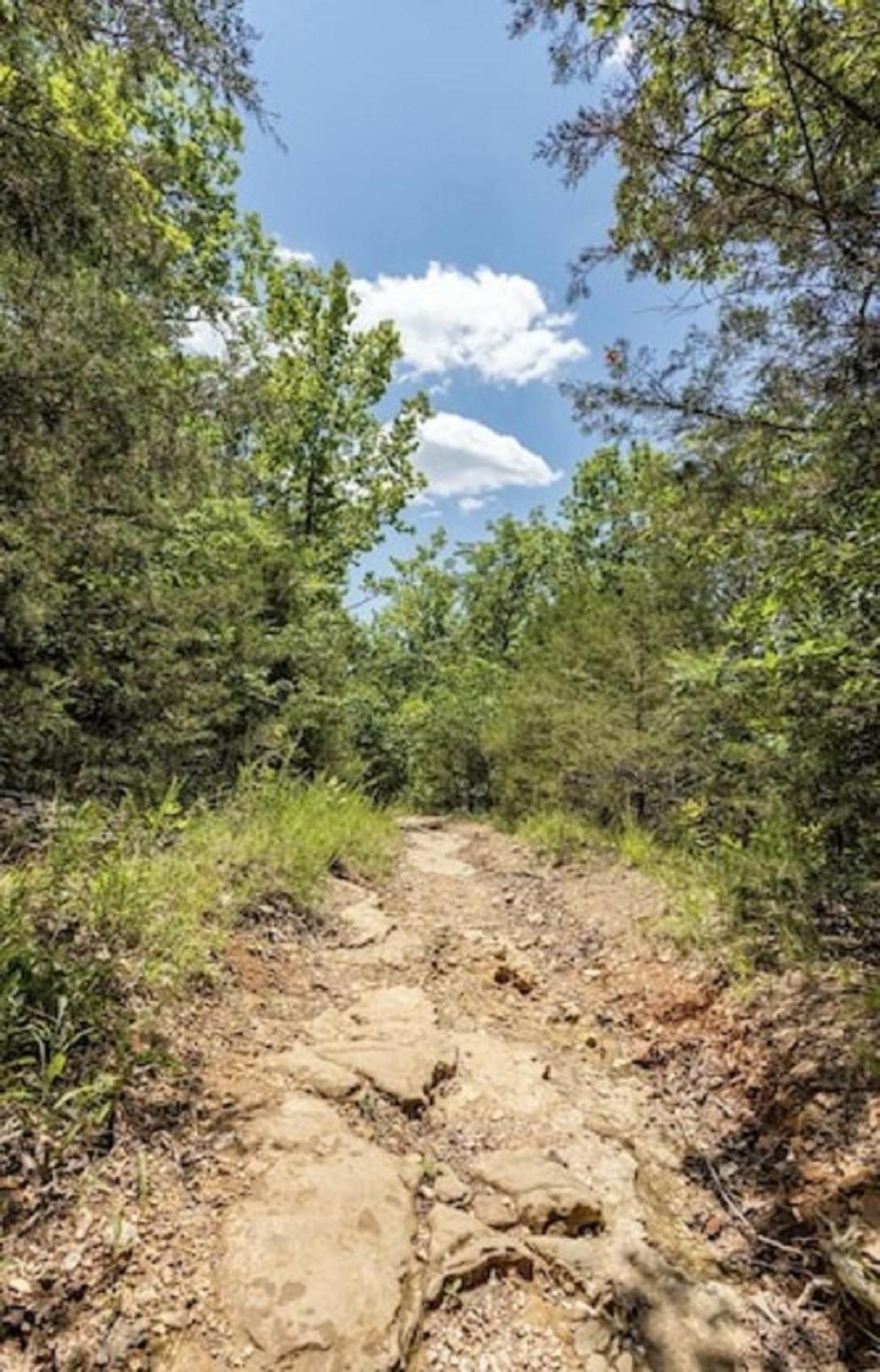 Beautiful Branson Getaway-Next To Silver Dollar City &Tablerock-Family Amenities Extérieur photo